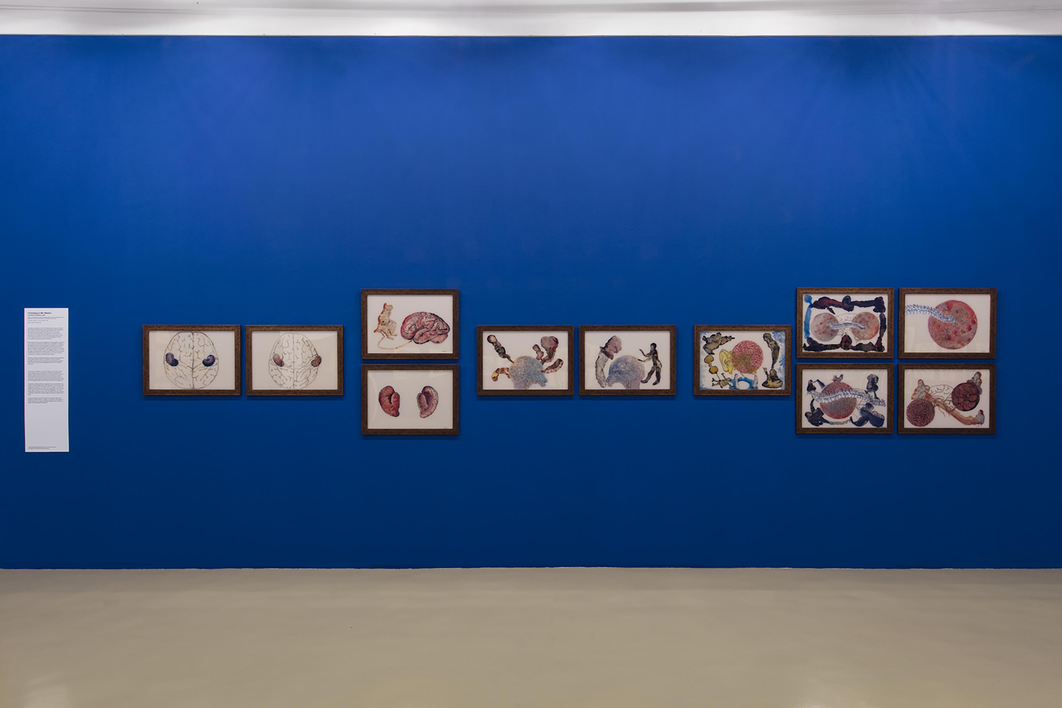 Nalini Malani, Listening to the Shades, 2008 (particolare)